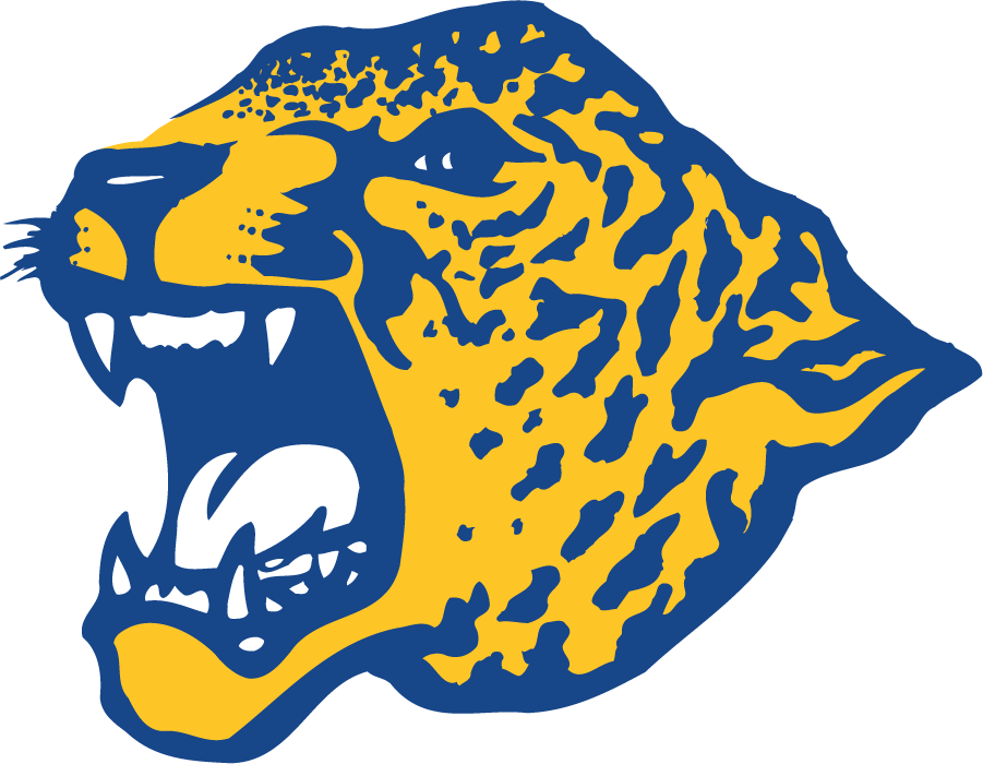 Southern Jaguars 1993-2001 Primary Logo iron on transfers for T-shirts